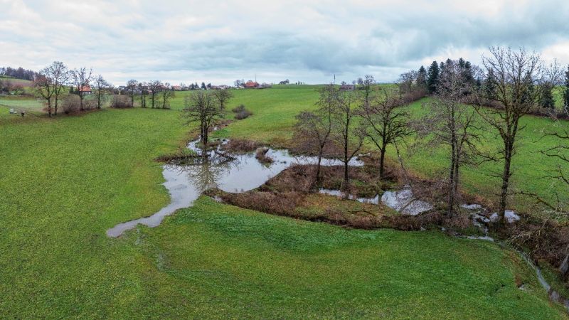 Fichier:Barrage de castors.jpg