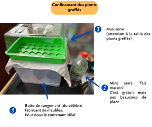 Confinement des greffes.png