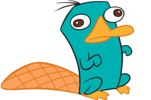 Description de l'image Perry the platypus.webp.