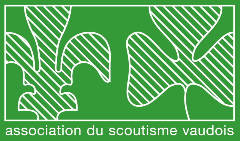 Fichier:Logo ASVd .png