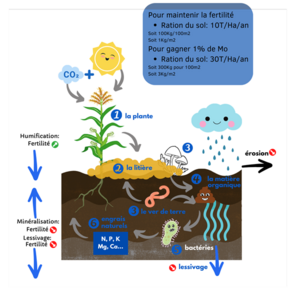 Fertilité du sol.png